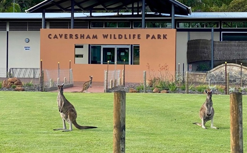 Caversham Wildlife Park