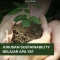 Jurusan Sustainability