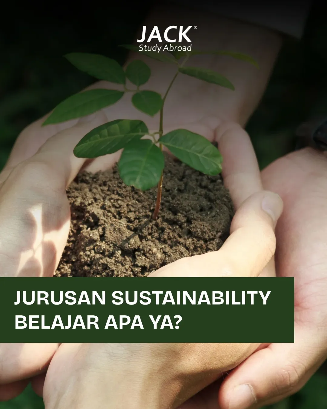 Jurusan Sustainability